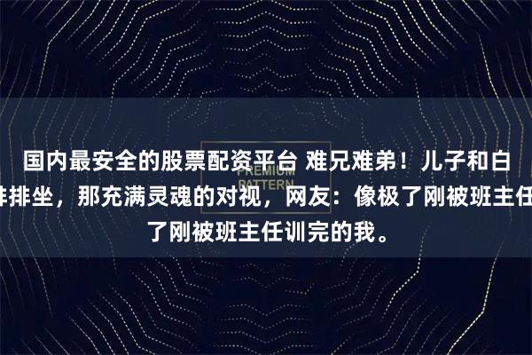 国内最安全的股票配资平台 难兄难弟！儿子和白狗挨骂后排排坐，那充满灵魂的对视，网友：像极了刚被班主任训完的我。
