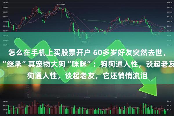 怎么在手机上买股票开户 60多岁好友突然去世，上海70多岁老伯“继承”其宠物大狗“咪咪”：狗狗通人性，谈起老友，它还悄悄流泪