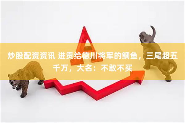炒股配资资讯 进贡给德川将军的鲷鱼，三尾超五千万，大名：不敢不买